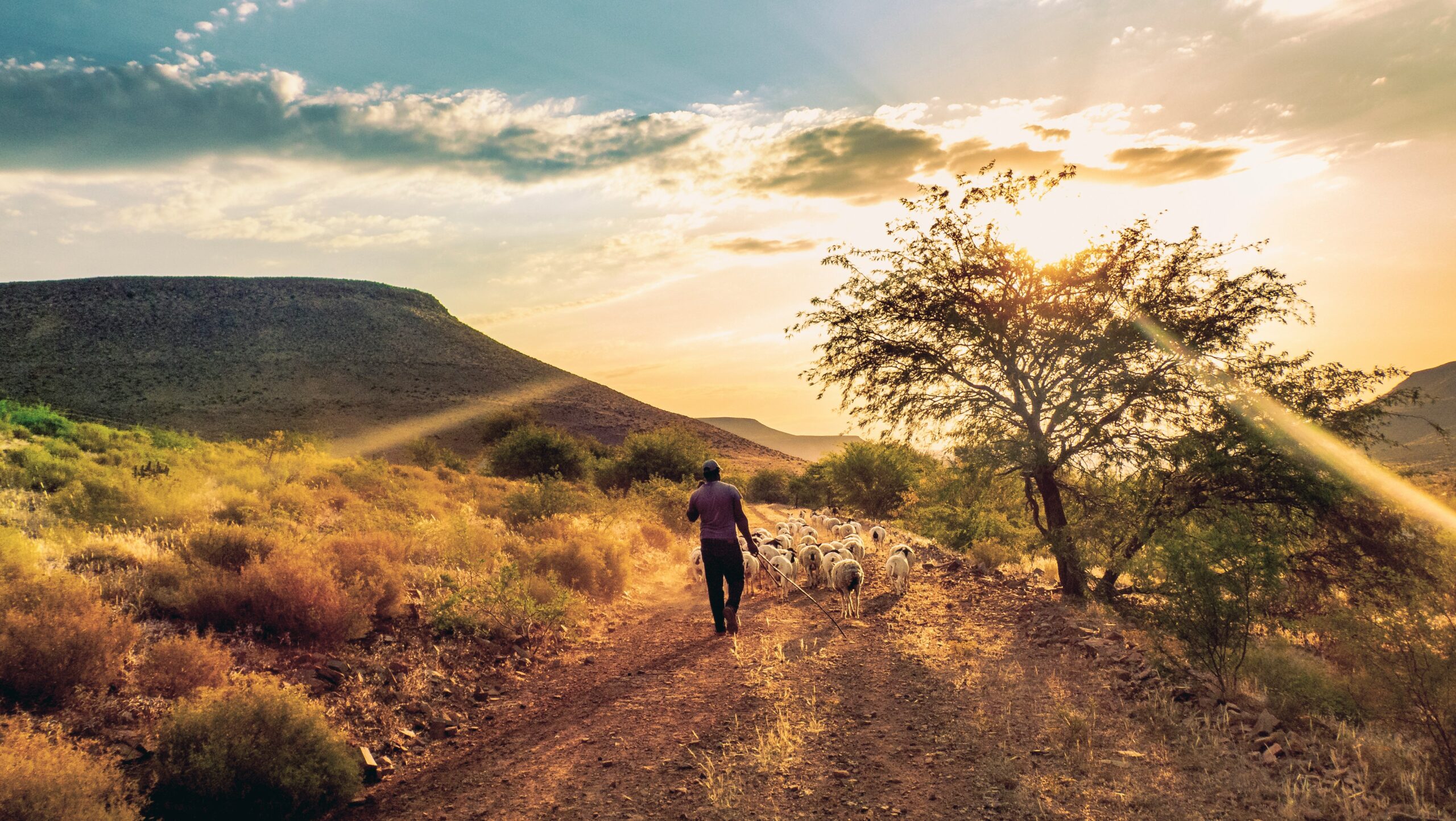 mark-harpur-South africa farm-unsplash